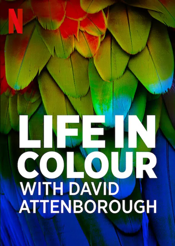 Poster phim David Attenborough: Sự sống đầy màu sắc trên Phim Mới