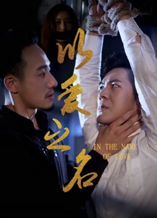 Poster phim Nhân Danh Tình Yêu trên Phim Mới